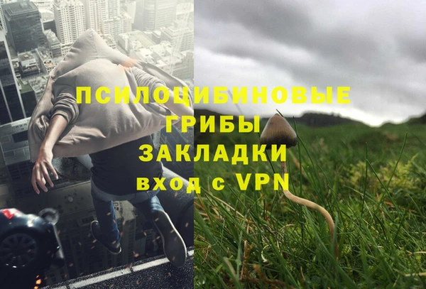 гидра Белокуриха