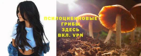 гидра Белокуриха