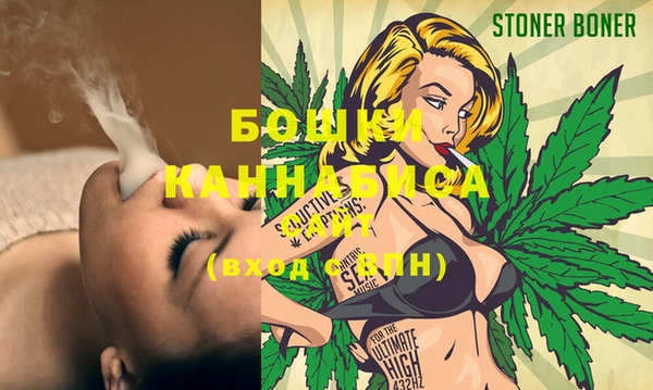не бодяженный Няндома