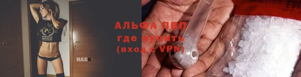 гидра Белокуриха