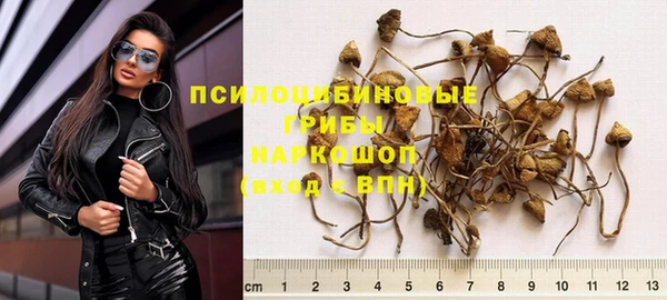 гидра Белокуриха