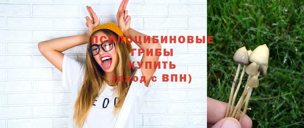 гидра Белокуриха
