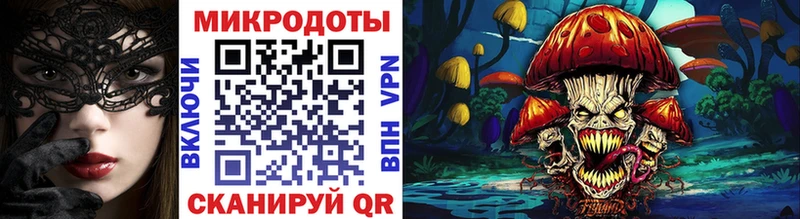 Псилоцибиновые грибы Psilocybe  Куйбышев 